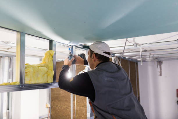 Best Home Insulation Services  in Paramus, NJ